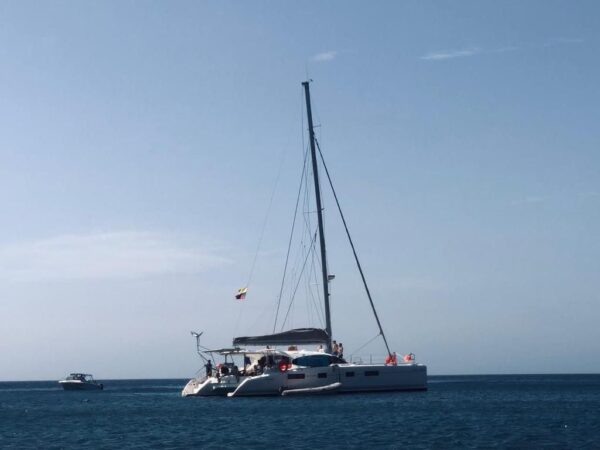 Catamarán 032