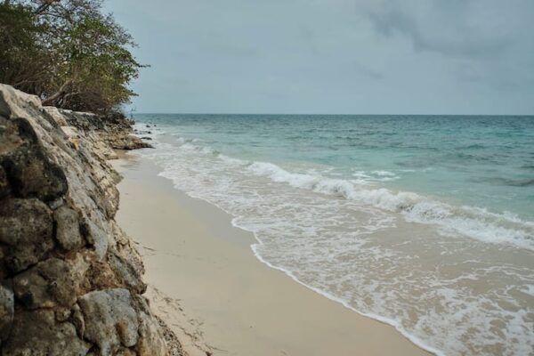 Isla Barú 020 - Imagen 10